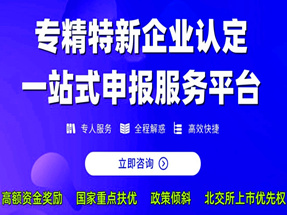 专精特新企业认定