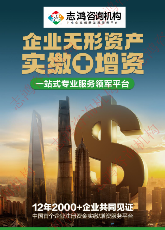 知识产权无形资产实缴